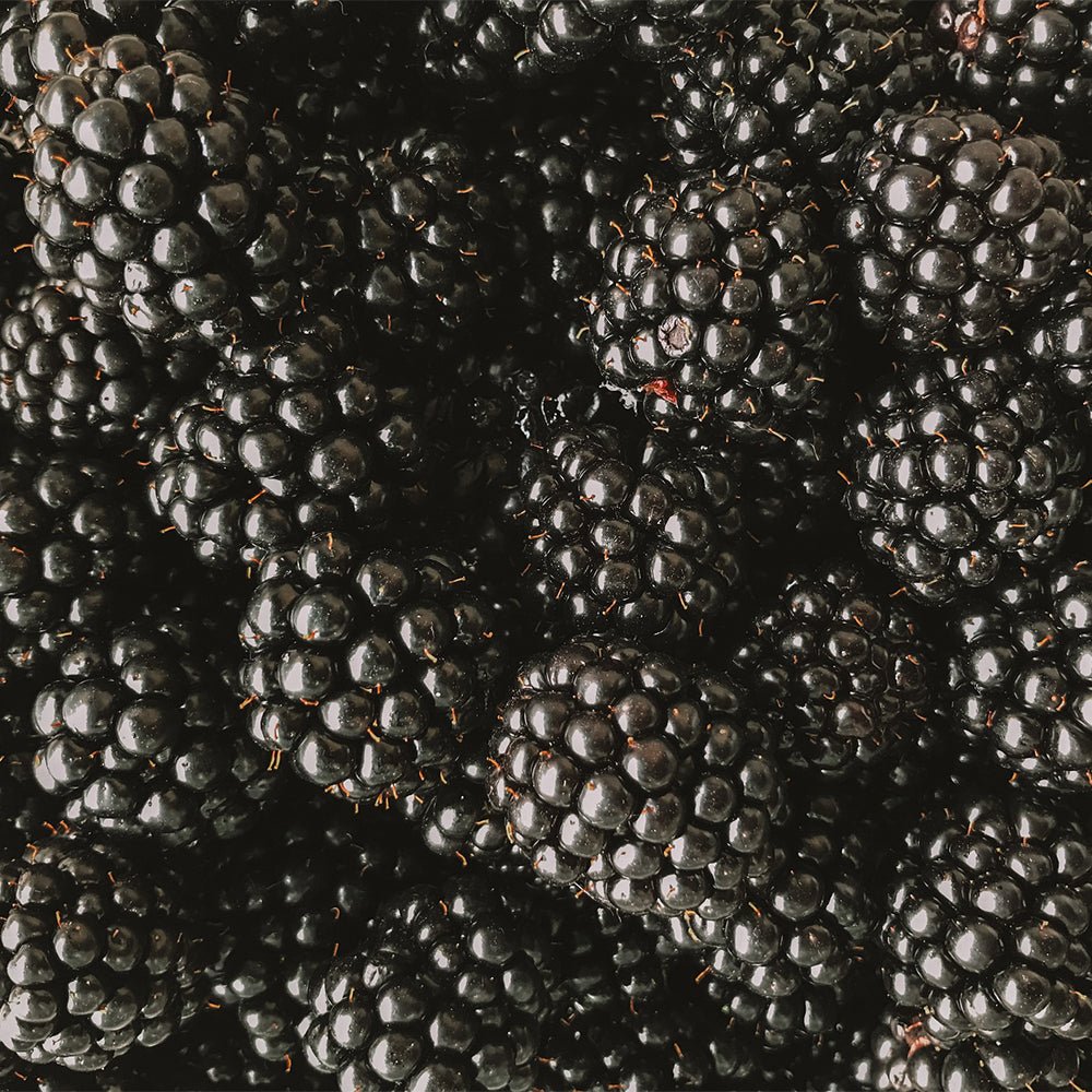 Brombeeren, bio, pasteurisiert - Apfelino